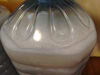1735027654086.jpg